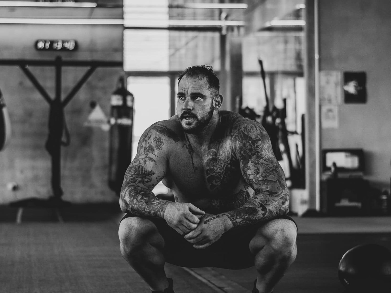 Can you gain muscle with plant-based protein?