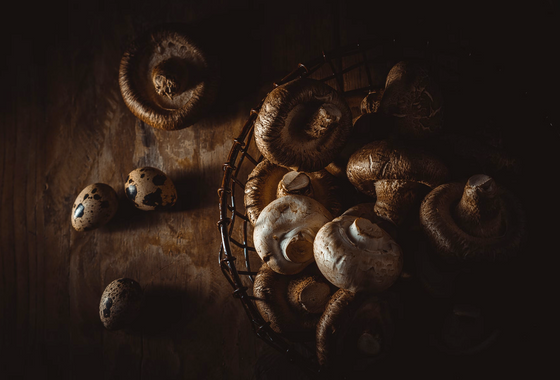 5 Mushrooms You Should be Eating More Of