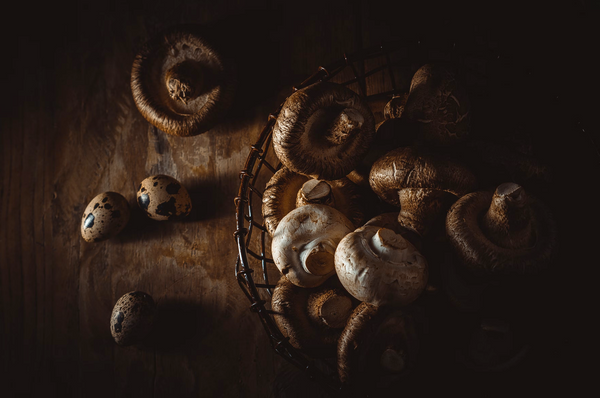 5 Mushrooms You Should be Eating More Of