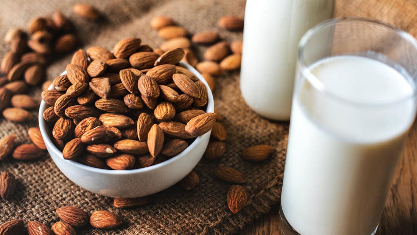 Protein: Benefits for Combat Athletes