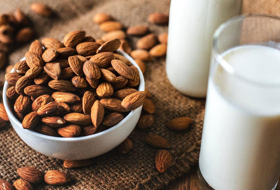 Protein: Benefits for Combat Athletes